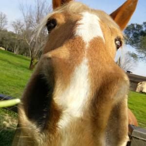 Meet your Posher, Kathleen